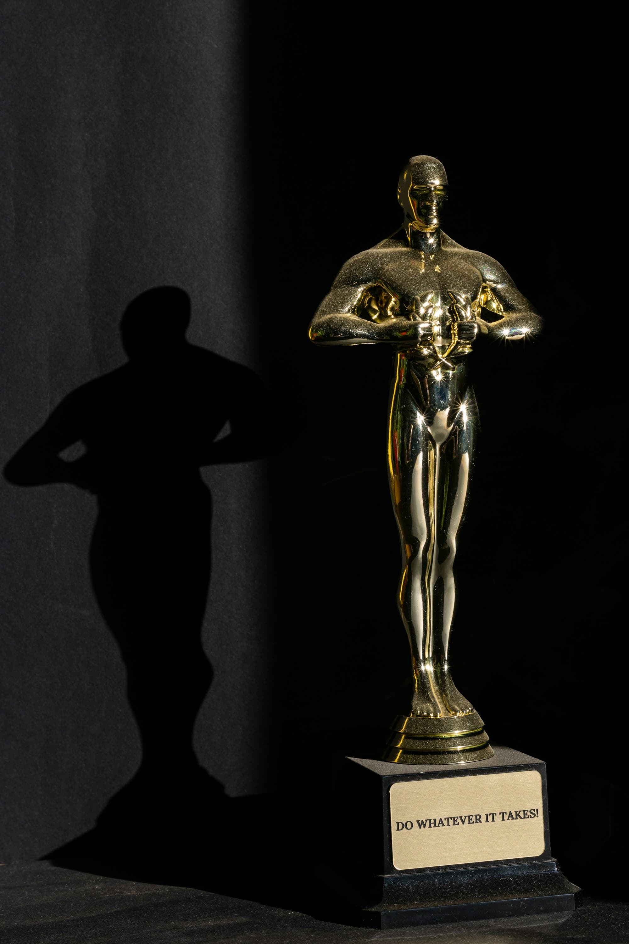 A trophy catches a dramatic spotlight against a black backdrop